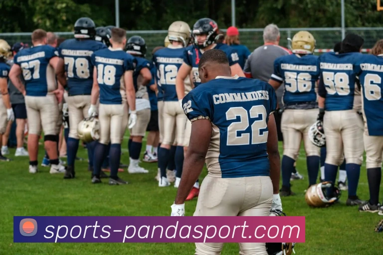 App Interface Preview